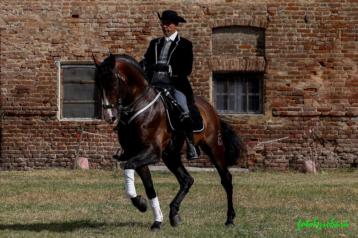 LA PALAZZINA DI CACCIA DI STUPINIGI È PROTAGONISTA DELLA FIERA DI DOMENICA 6 OTTOBRE E DELLA RASSEGNA FLOREAL DALL’11 AL 13