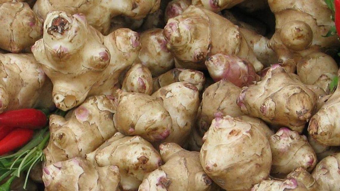 CARIGNANO CELEBRA IL CIAPINABÒ CON LA FIERA REGIONALE DALL’11 AL 13 OTTOBRE