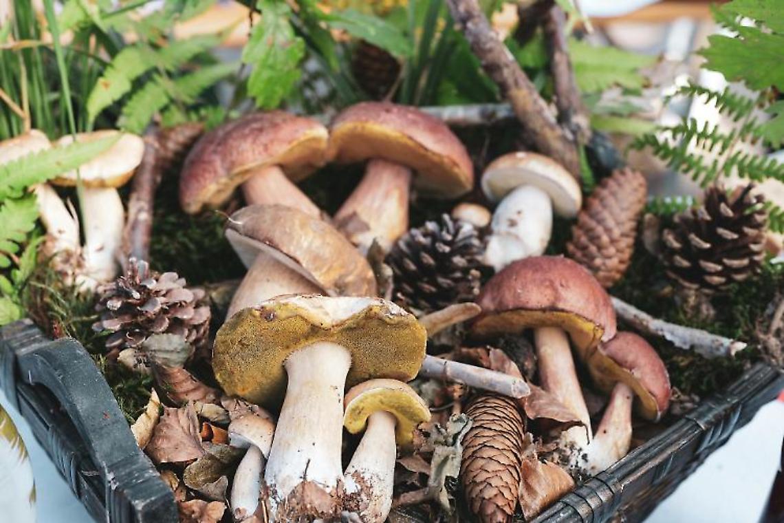 Fiera d’autunno a Barbania: tra polenta, castagne e LEGO, una giornata per tutti i gusti