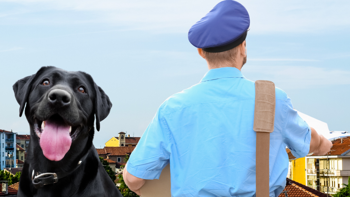 Il postino arriva… quando vuole e se c'è il cane lancia il giornale