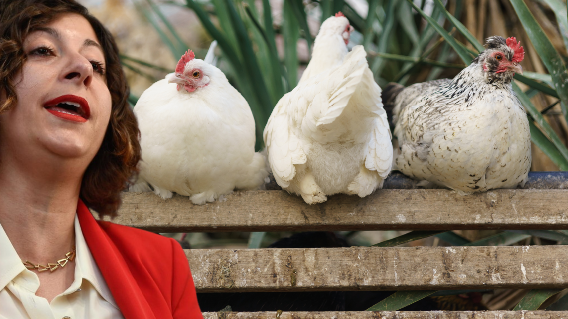 Cinquestelle schierati in difesa di polli e galline