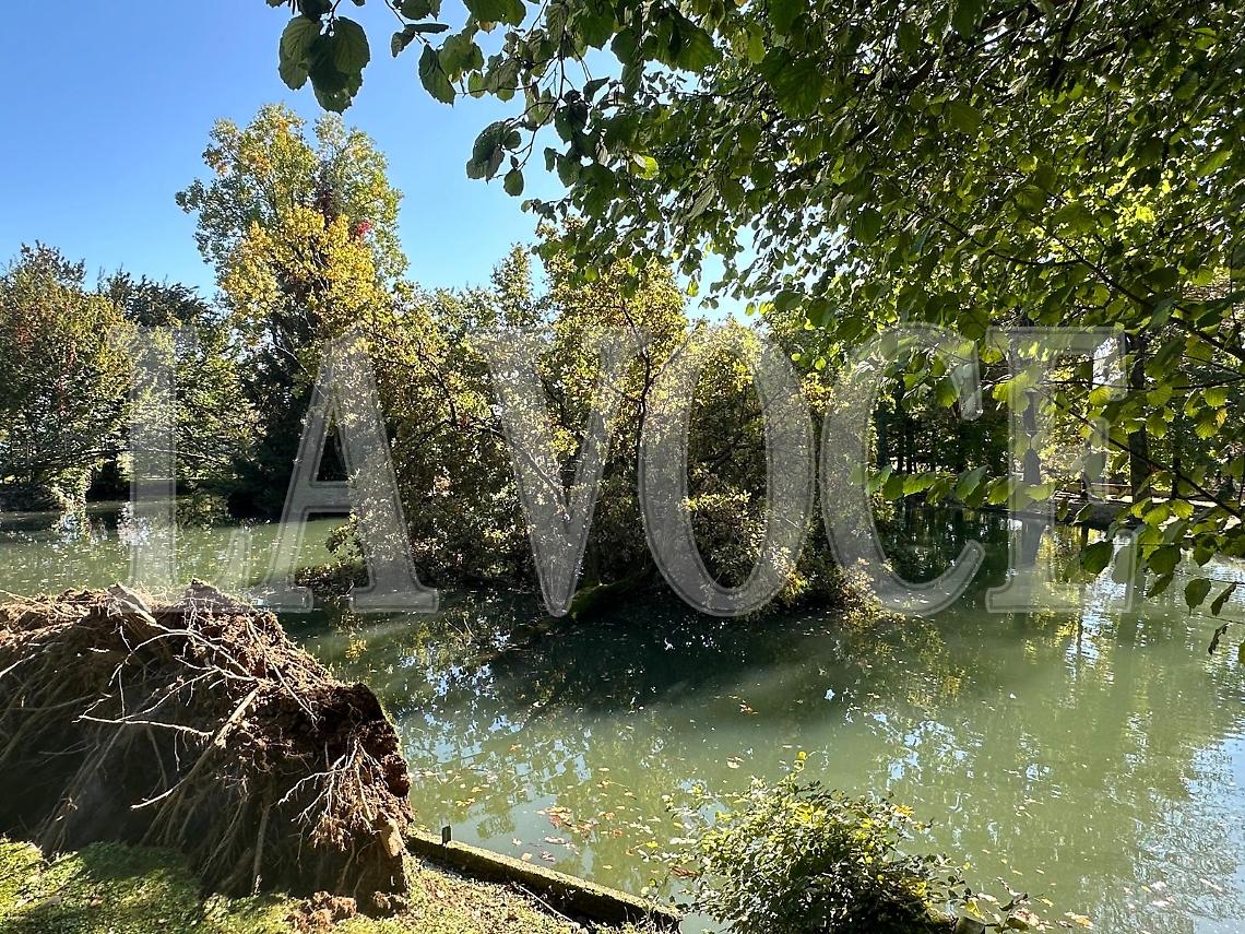 La quercia caduta nel laghetto del parco Bonaudo