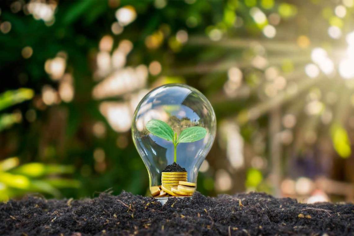 energia green