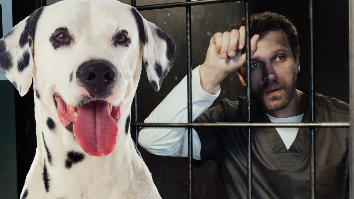 Cani in carcere? Giammai! La protesta del sindacato. Epperò i gatti!