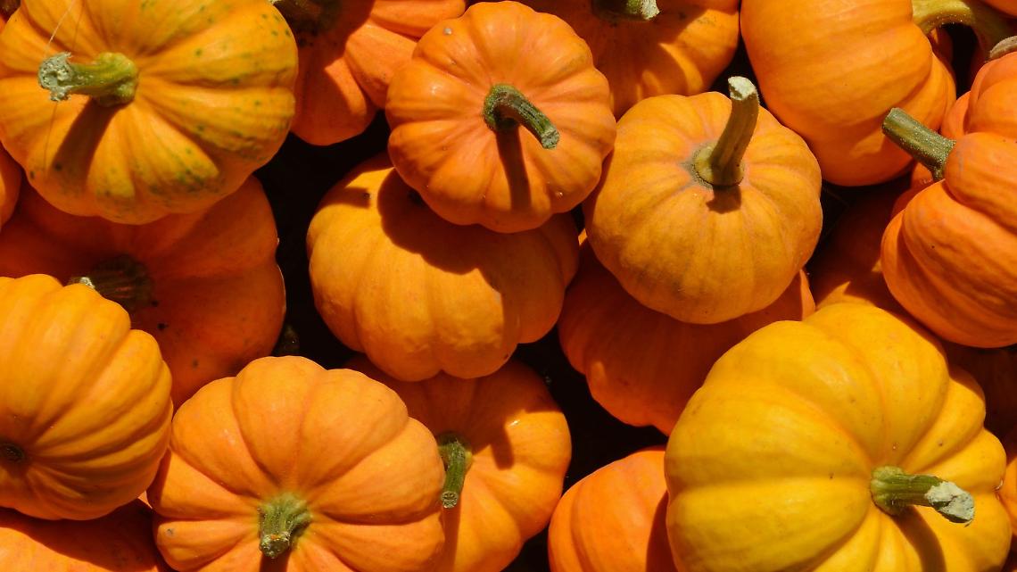 Sagra della Zucca 