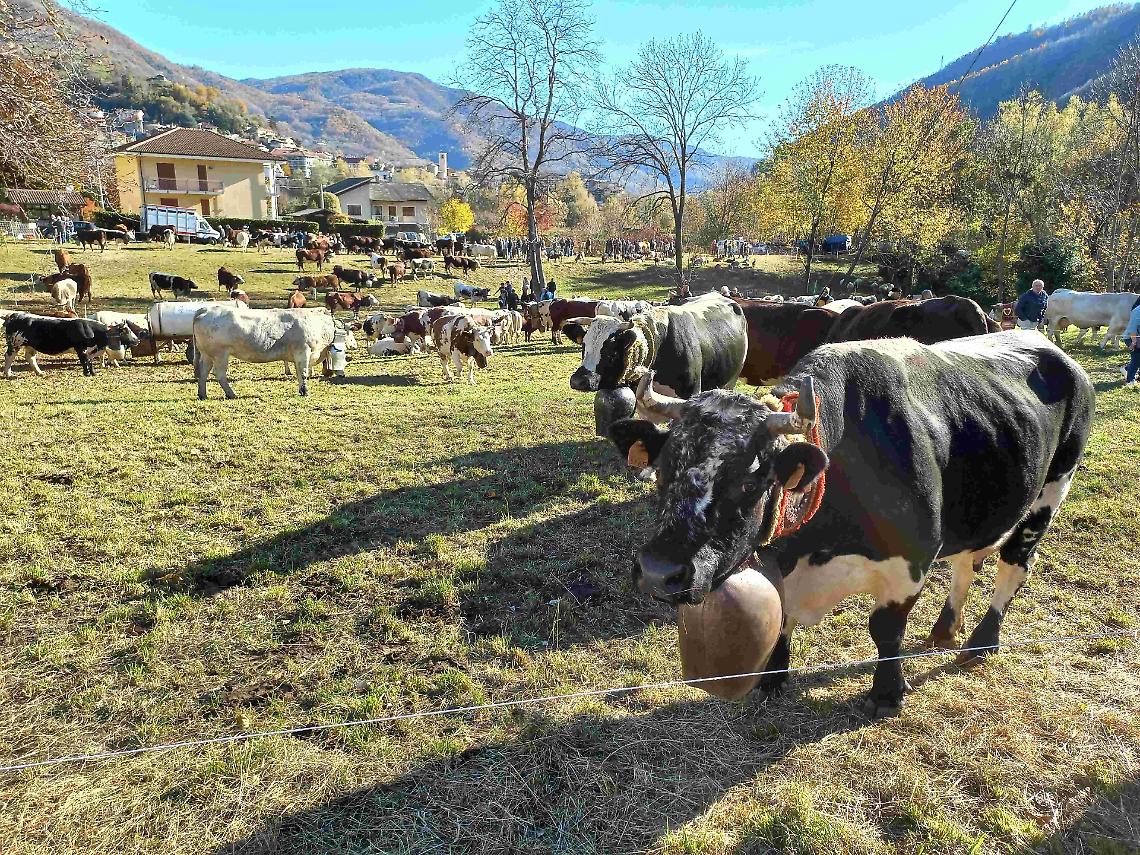 Torna la Fiero dâ Paî dâ Ramì