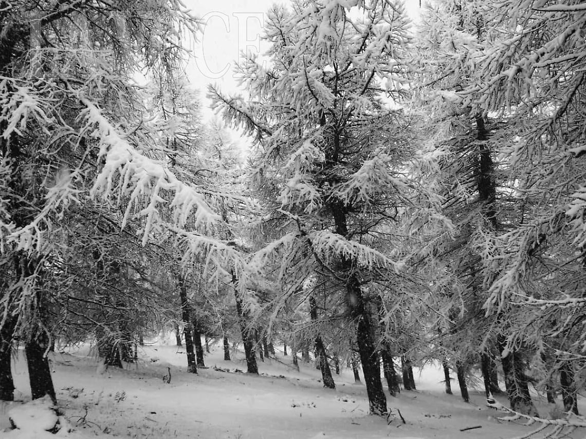 Prima Neve sul Canavese