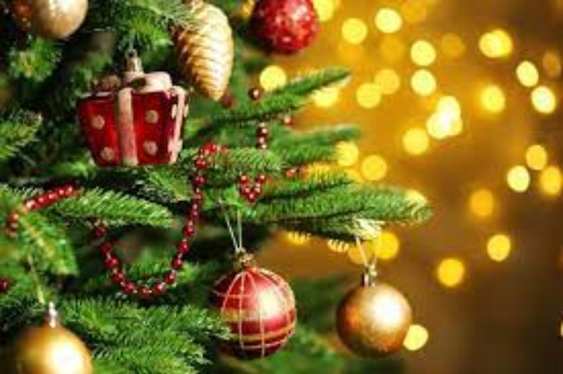 Con “Accendi l’Albero” arriva il Natale in Valle Tesso 