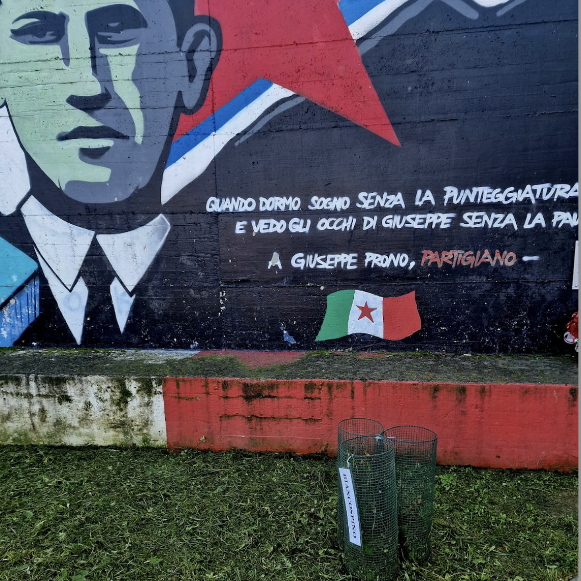 Montanaro