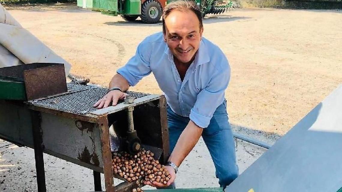 Invidioso delle nocciole di Cirio