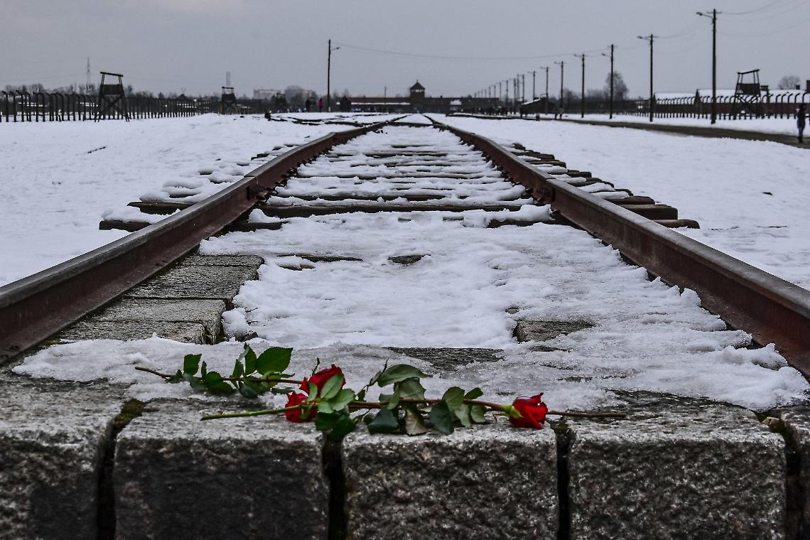 Riavvolgere il nastro della storia. 1.500 euro per il progetto "Promemoria Auschwitz 2025"