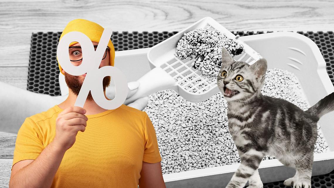 L'Iva al 22% sulle lettiere
