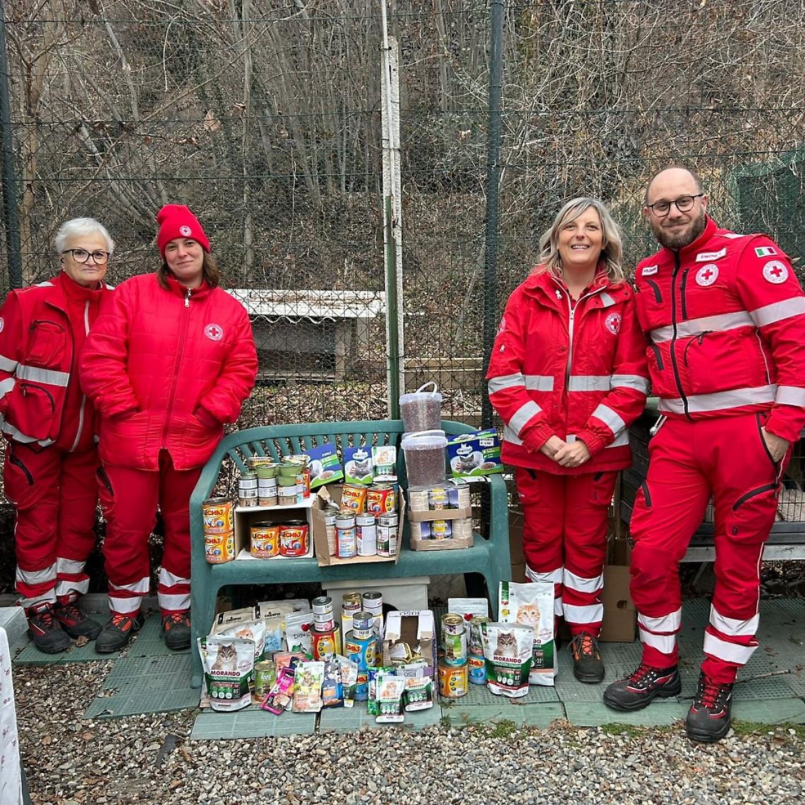 Gattile di Ivrea: nove mici adottati e un concorso per regalare speranza a tanti altri