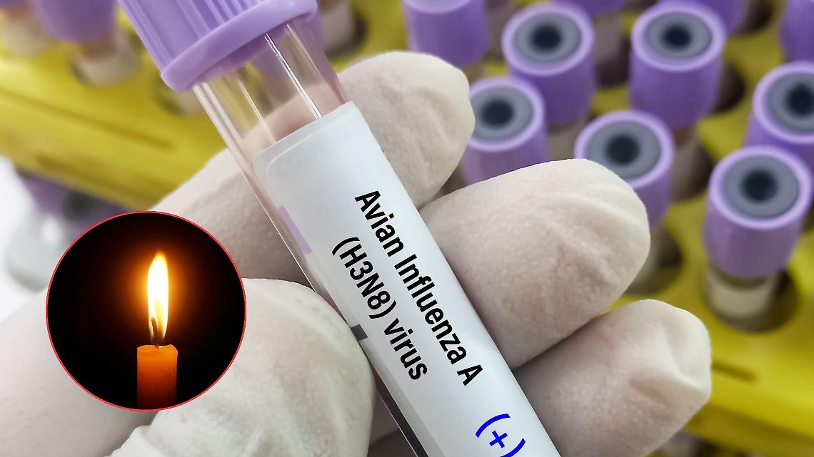 Il primo caso di influenza aviaria 