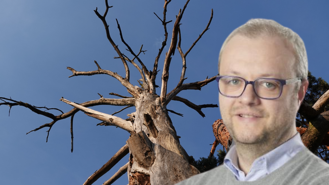 L'assessore Alessandro Raso