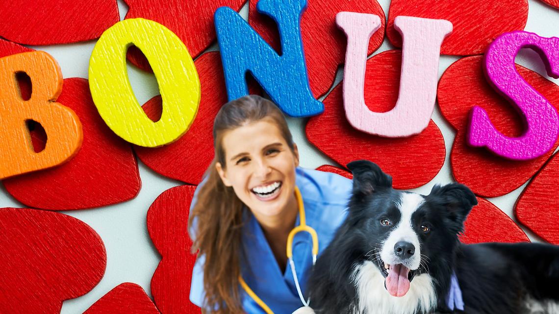 Bonus animali domestici