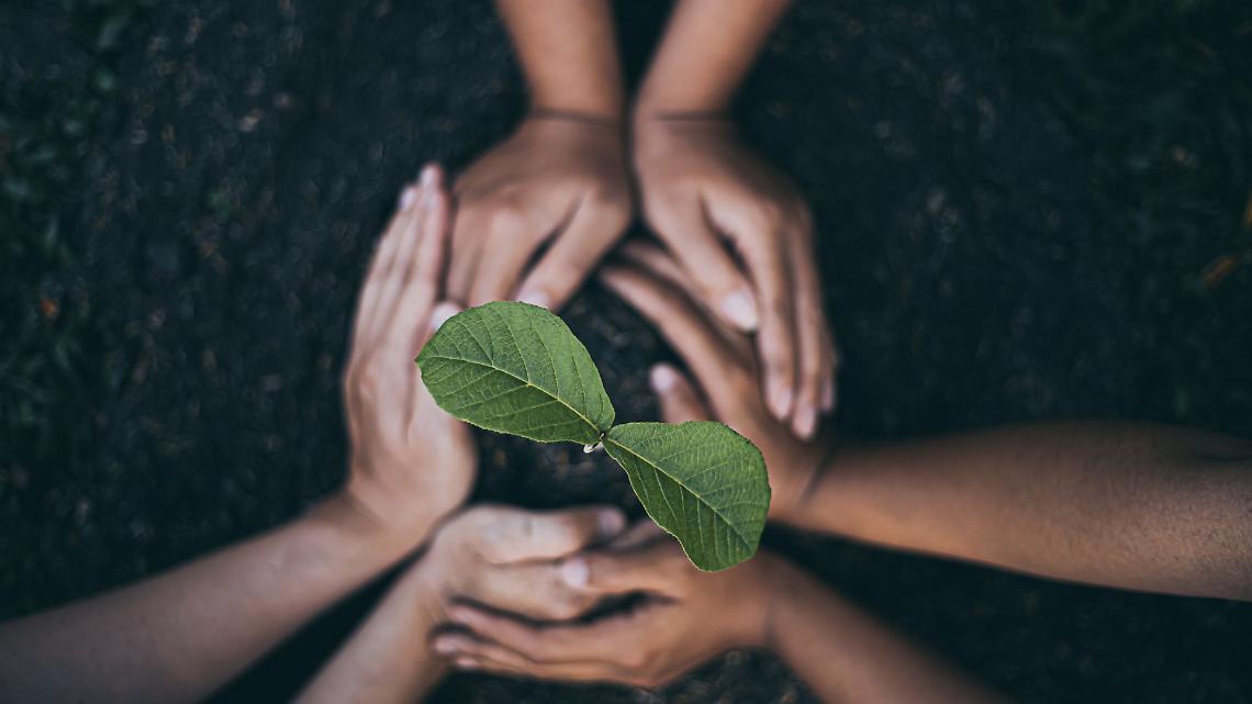 La festa di sant&rsquo;Antonio Abate unisce la collina: a Cinzano una giornata di fede, agricoltura e comunit&agrave;
