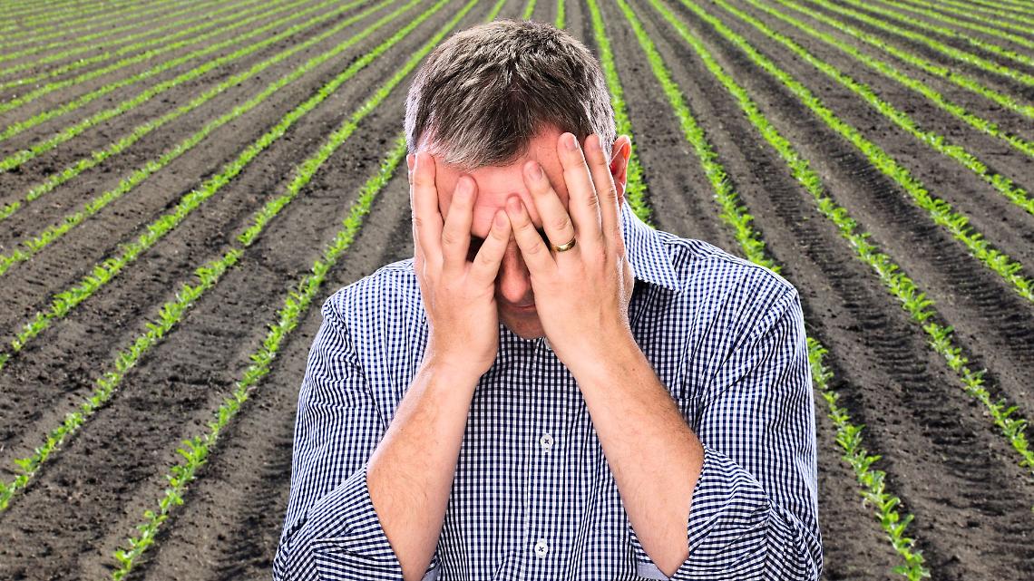 Mercosur nel piatto dei torinesi, Coldiretti denuncia: "Cibi senza tutele e concorrenza sleale"