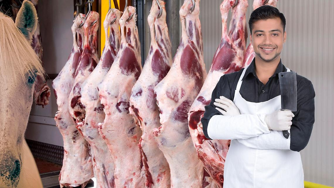 Macellazione dei cavalli
