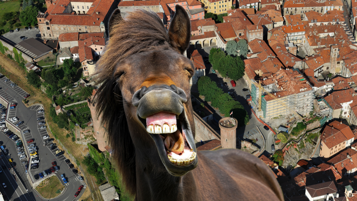 Cavallo