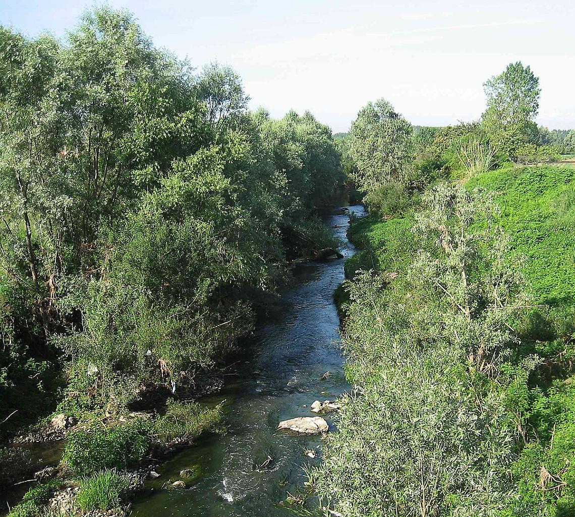 ll torrente Banna