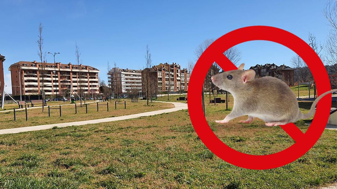 Basta topi in casa. Via libera alla collaborazione tra Comune e privati per risolvere il problema