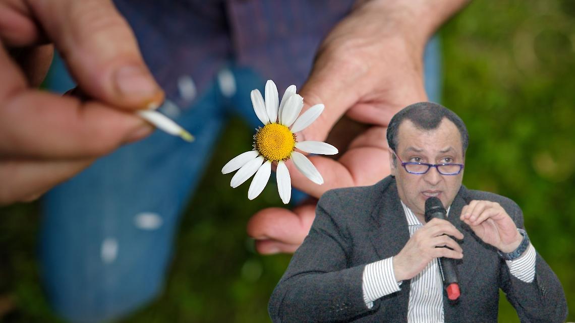 Bacino di laminazione sì, bacino di lamazione no! Careri sfoglia la margherita... Ecco perché il sindaco non sa che fare