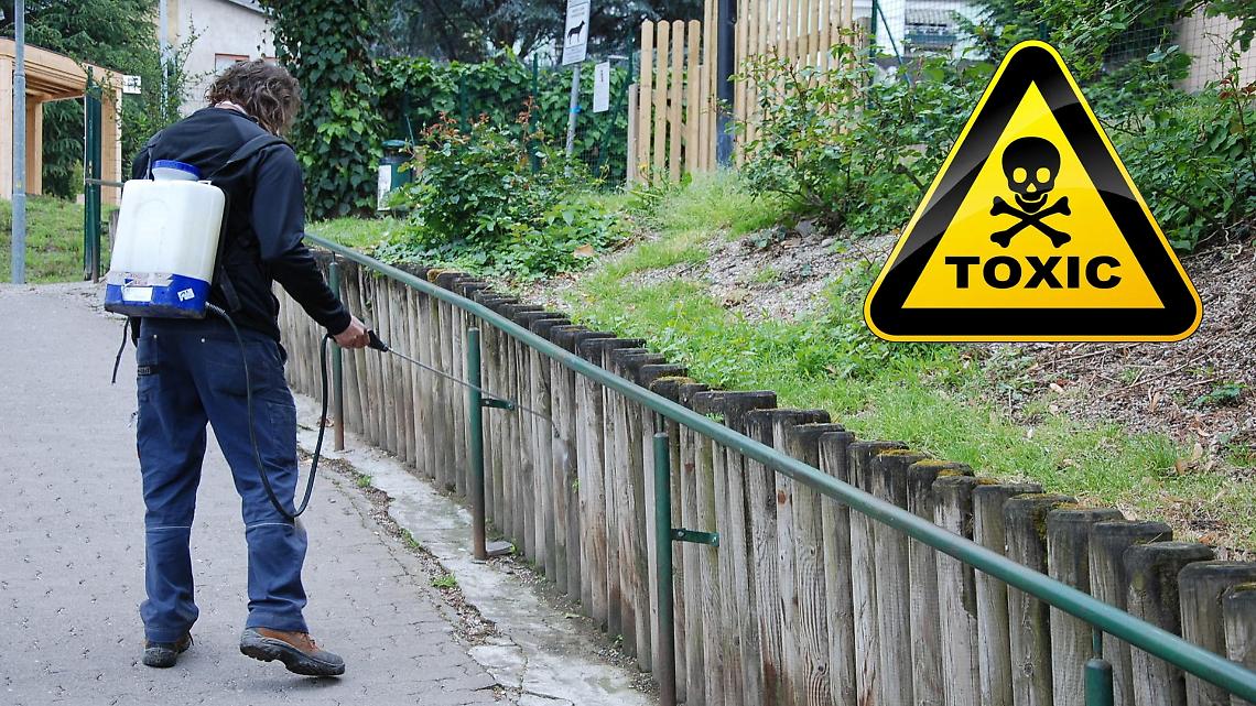 ISDE, Legambiente e Pro Natura: no all'uso del glifosato per il diserbo in città