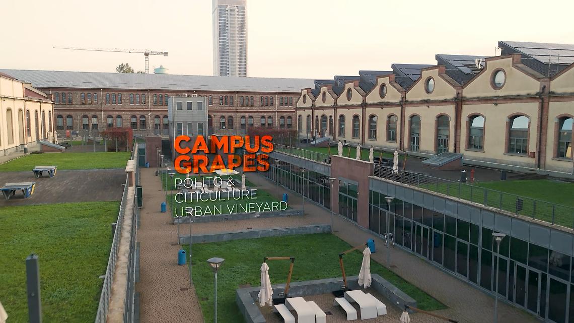 Campus Grapes