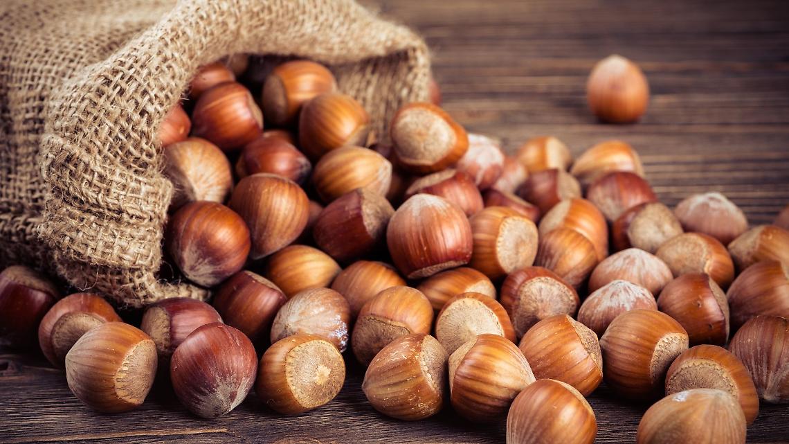 Crisi della nocciola Tonda Gentile