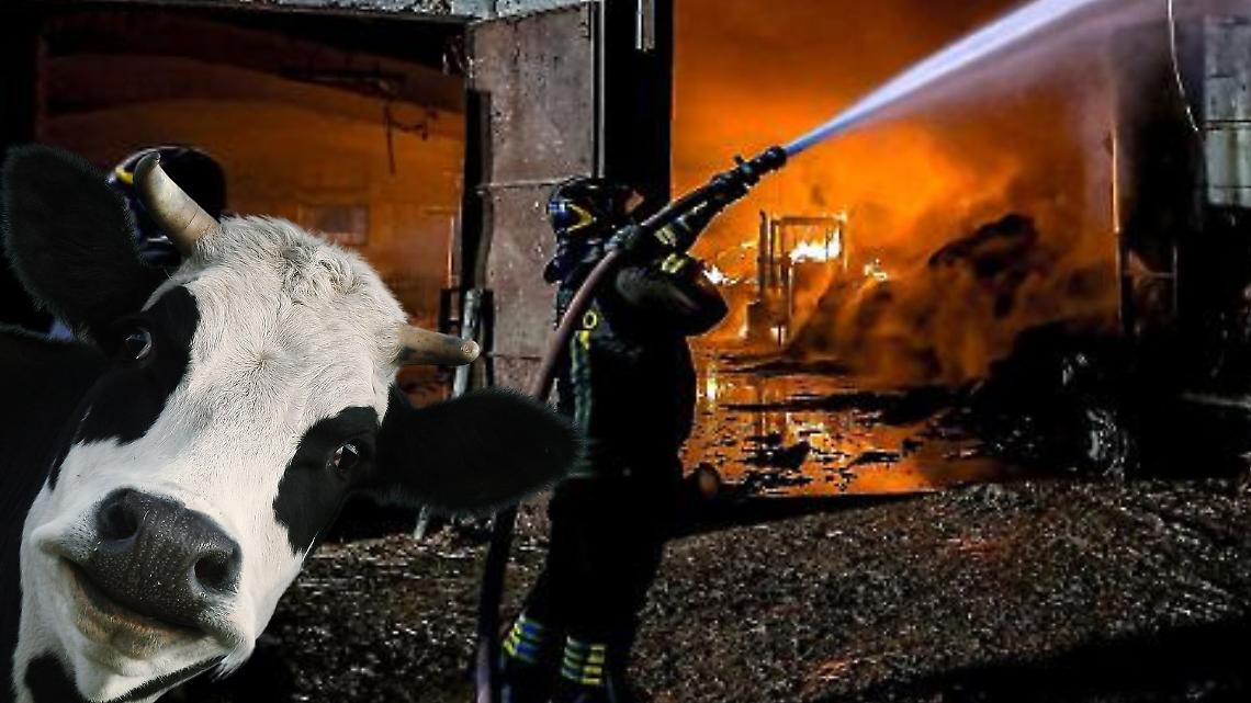 incendio all'alba