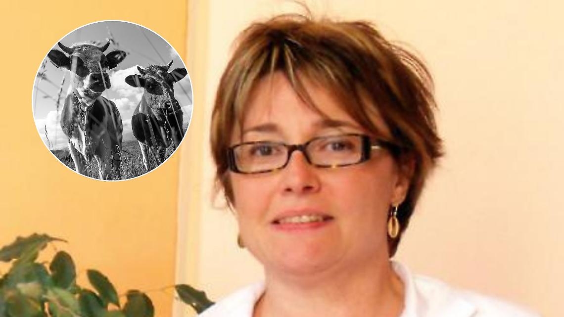 Mucche in fuga abbattute, dopo la pioggia di critiche su facebook la sindaca va dai carabinieri e denuncia