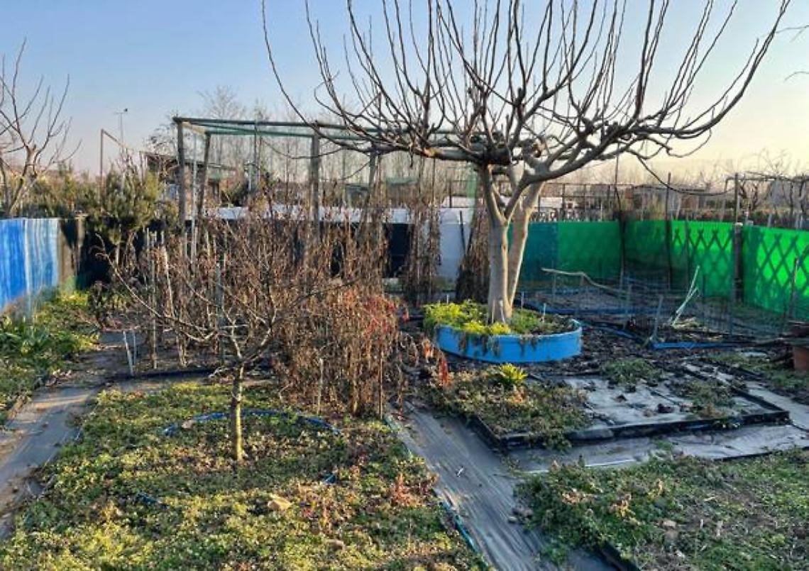 Cirié, aperto il bando per quattro orti urbani in via Triveri