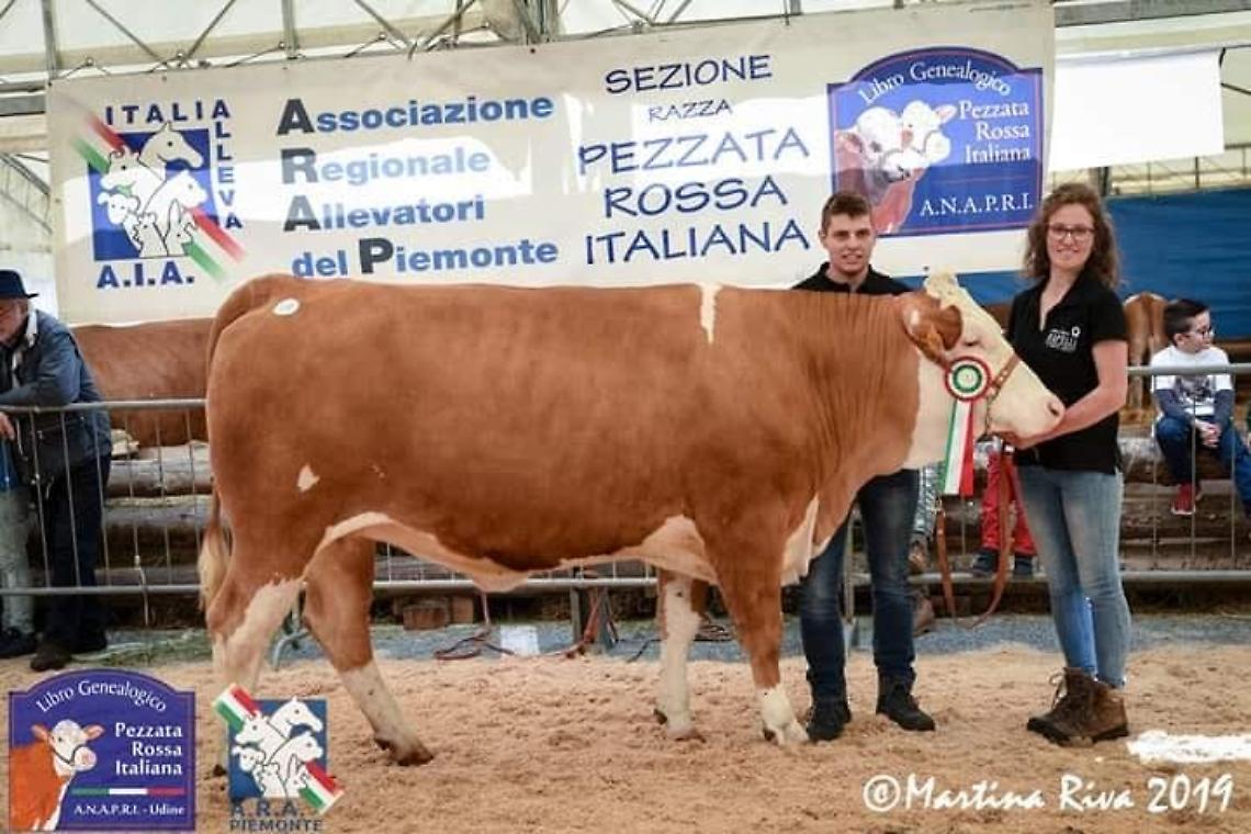 Fiera di San Giorgio