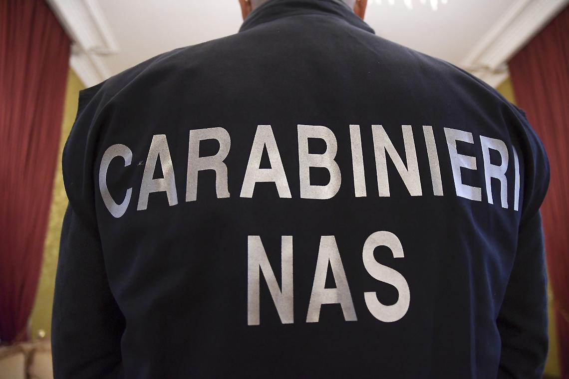Lavoro nero, alimenti scaduti e sporcizia: i carabinieri chiudono un negozio