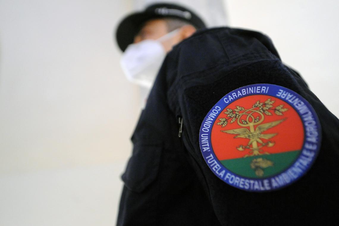 Amianto e rottami, scoperta una maxi discarica in un terreno