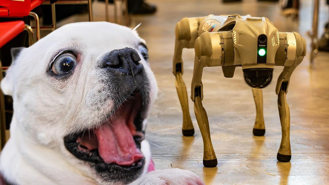 Il futuro della robotica