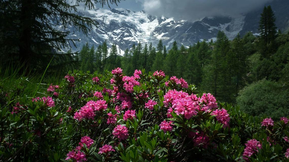 Parco naturale del Monte Rosa