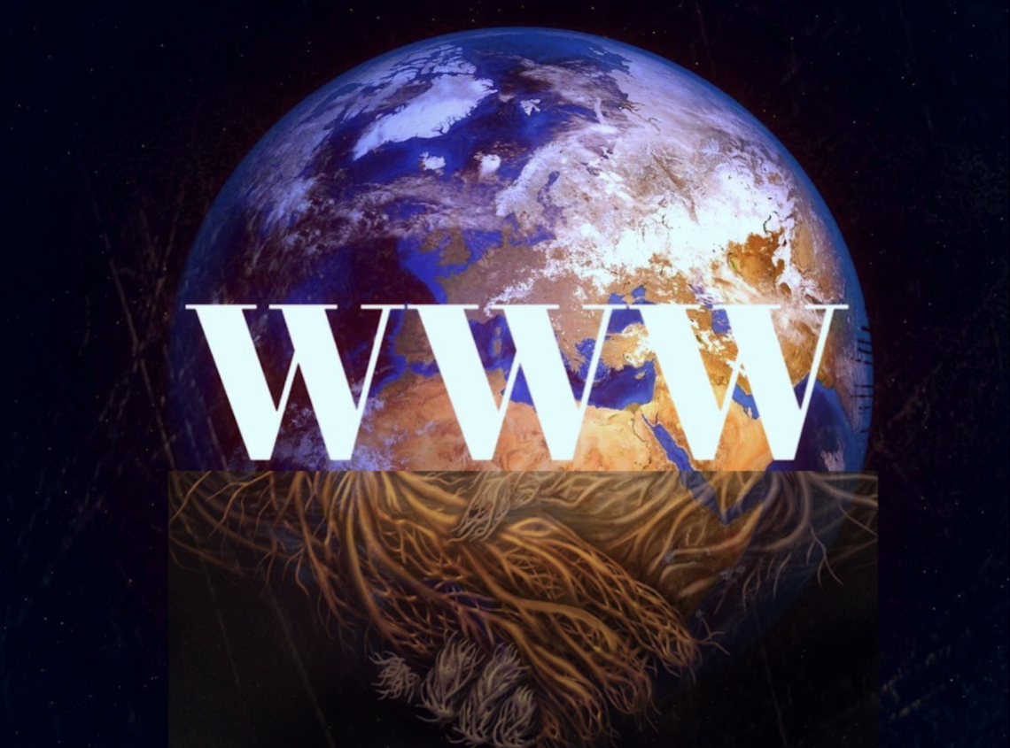 WWW: la prima rete non l’ha inventata l’uomo. Era viva, silenziosa, perfetta. E la stiamo distruggendo