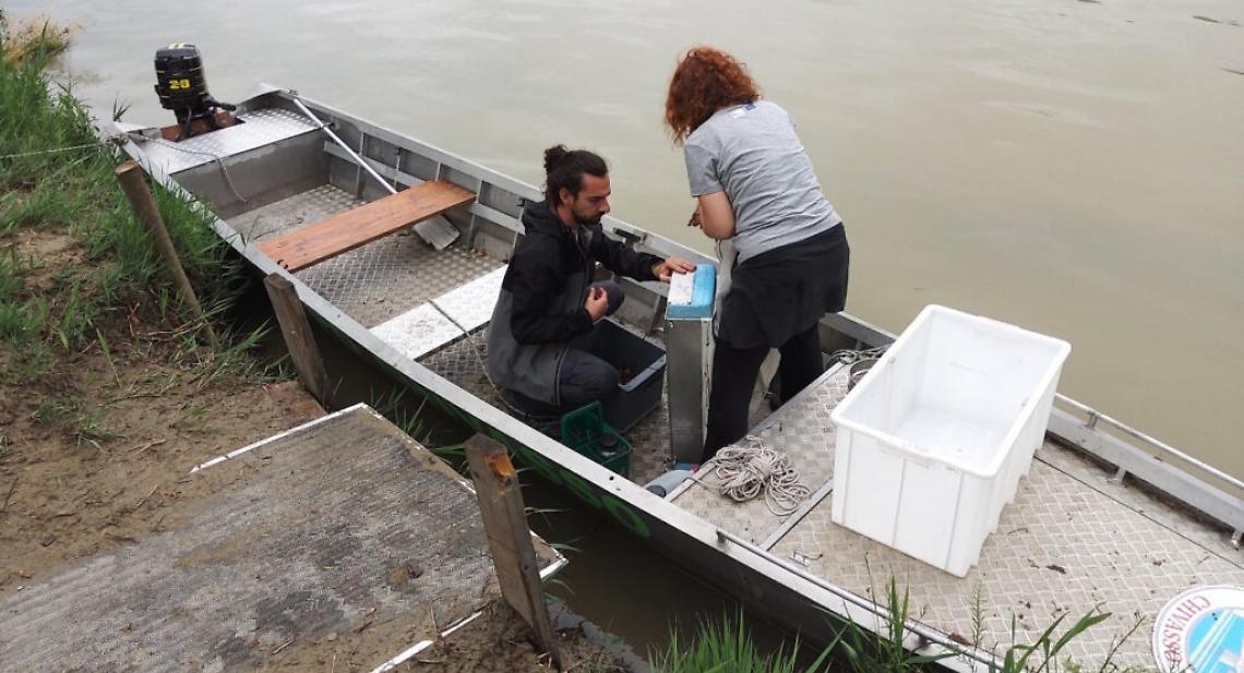Microplastiche nel Po a Chivasso: 4,2 particelle per metro cubo. Allarme per ambiente e salute