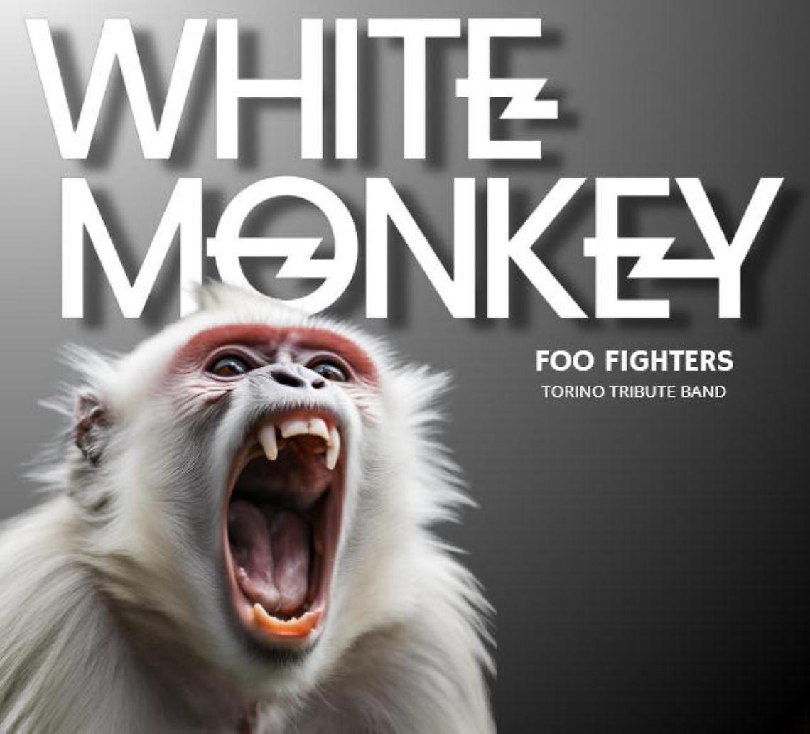 White Monkey