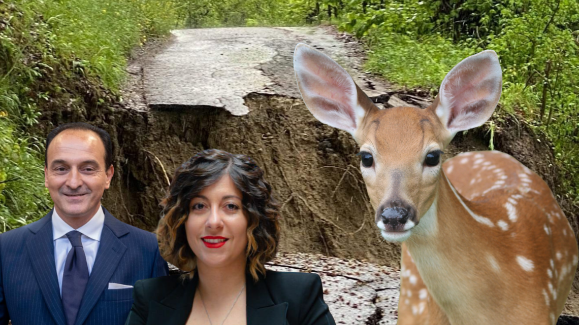 L’Oasi degli Animali rischia la chiusura: “Se non riapriamo, gli animali cosa mangiano?”