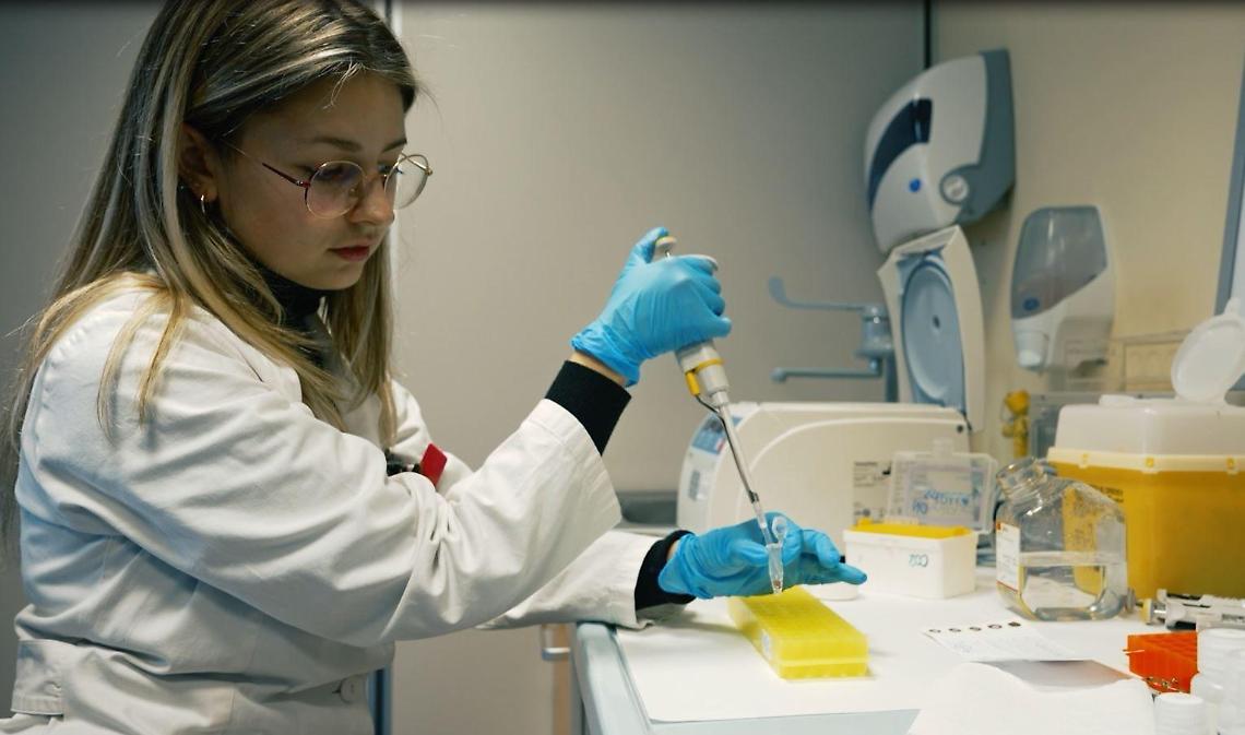 Tumori, individuata una disfunzione molecolare che indebolisce i muscoli: la scoperta dei ricercatori torinesi