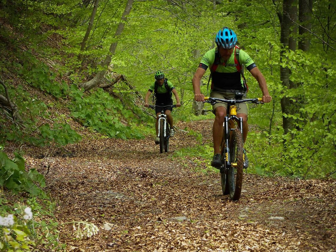 Cicloturismo 