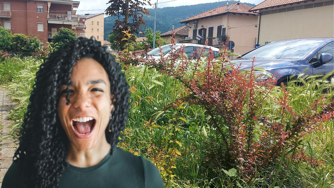 San Mauro giungla urbana: incuria e scaricabarile sulla gestione del verde pubblico