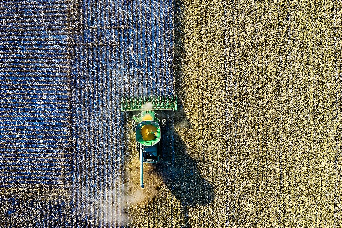 Distretto del Cibo: il Canavese fa squadra per qualità e innovazione. Il dibattito in consiglio comunale