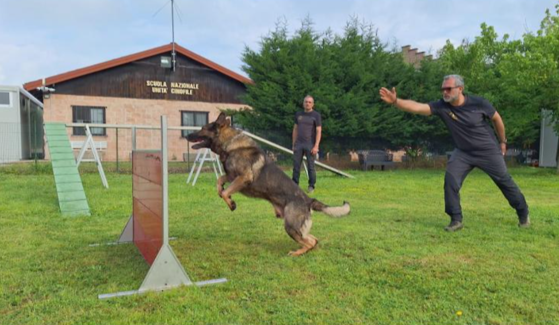 Volpiano, i cani-eroi in azione