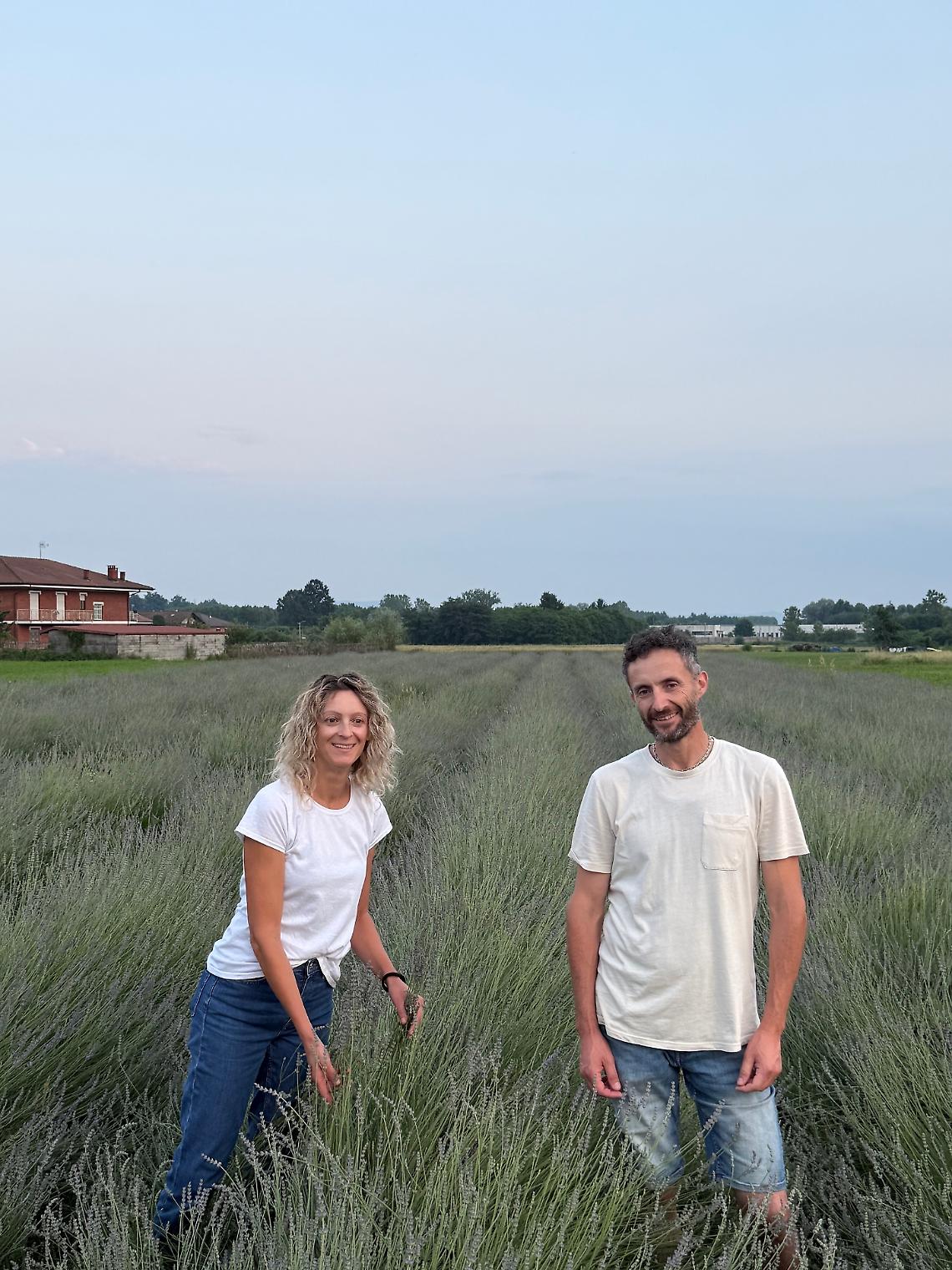 I fratelli Bertot tra i filari della loro lavanda