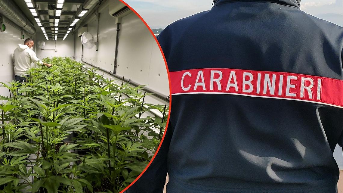 Maxi operazione antidroga