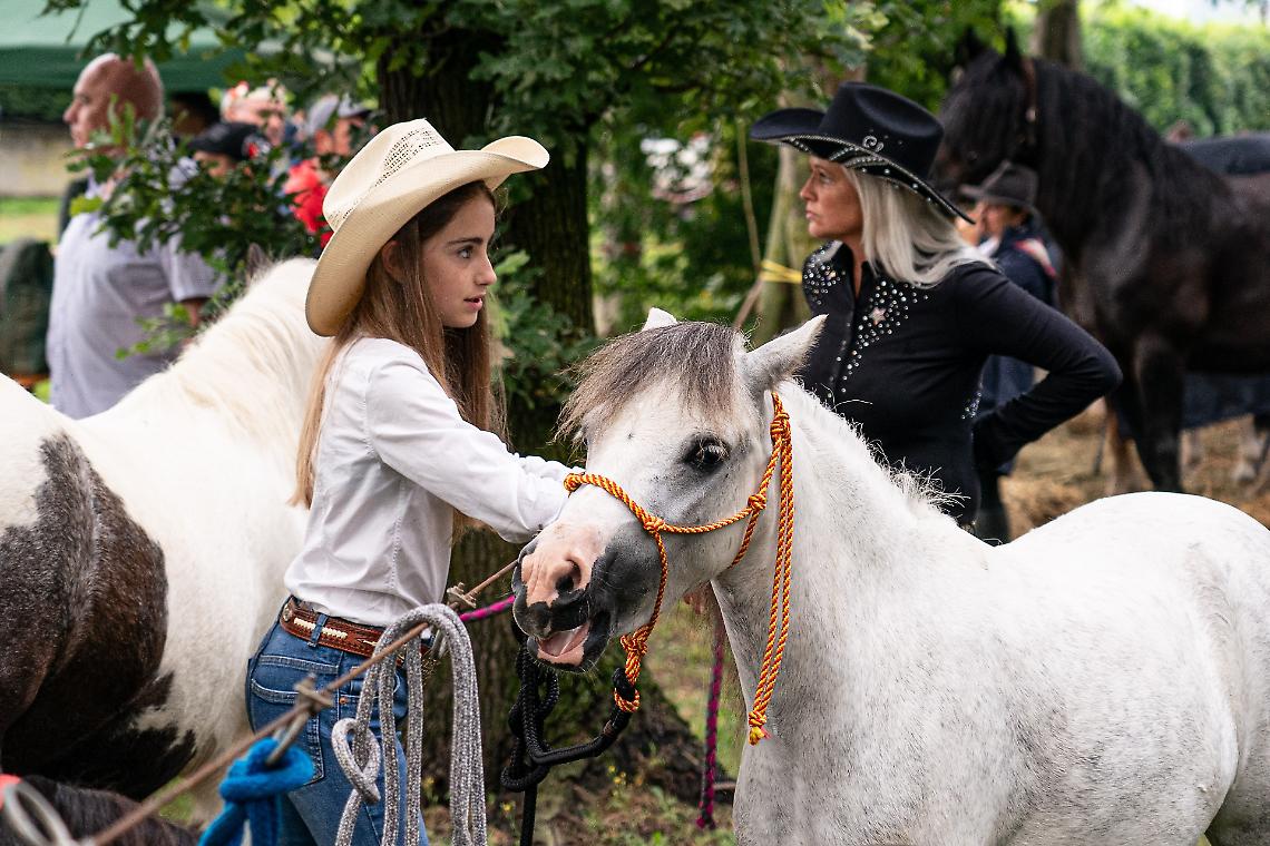 Ecco il programma di San Savino a Ivrea, festa del cavallo